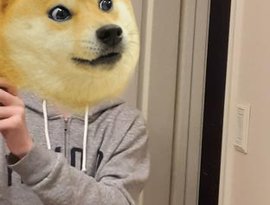 Avatar for BIG ASS DOGE