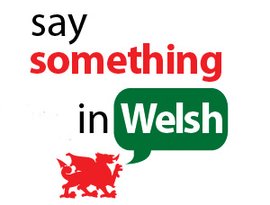 Avatar for Say Something In Welsh