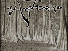 Amphora 的头像