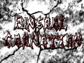 Funeral Carnation 的头像