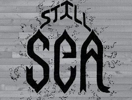 Still Sea 的头像