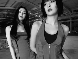 Avatar for Red Velvet - IRENE & SEULGI