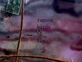 rapoon & birds of tin 的头像