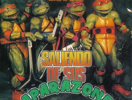 Avatar de LAS TORTUGAS NINJA
