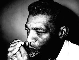 Little Walter のアバター