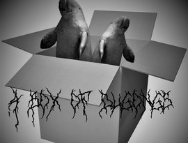 Avatar for A Box Of Dugongs