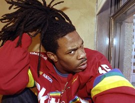 Busta Rhymes 的头像