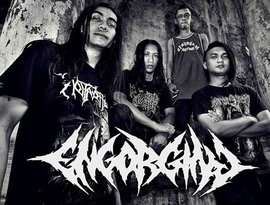 Avatar for Engorging