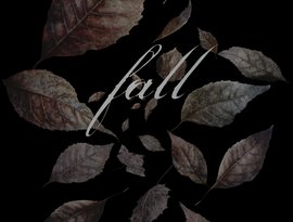 Fall(tx) 的头像