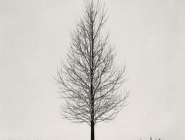 Avatar for Plain Grays