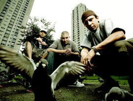 Avatar für Bliss n Eso