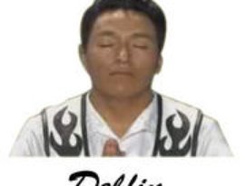 Avatar de Delfín
