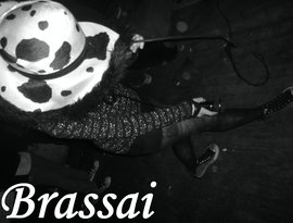 Avatar for brassai