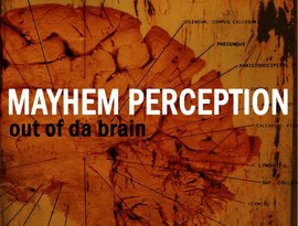 Avatar for Mayhem Perception