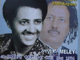 Avatar for Bereket Mengisteab