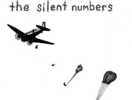 Avatar for The Silent Numbers