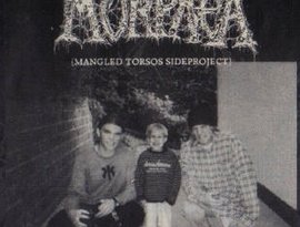 Avatar für Morphea