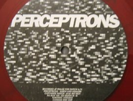 Avatar for Perceptrons
