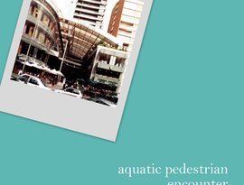 Aquatic Pedestrian 的头像