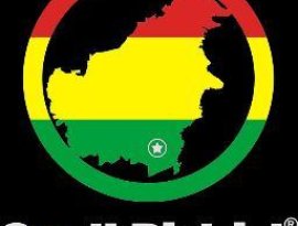 SOUTH DISTRICT BORNEO REGGAE 的头像