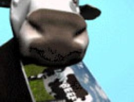 Avatar for Ian Beef