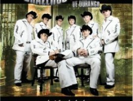 Brazeros Musical De Durango 的头像