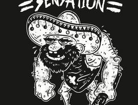 Teenage Anarchist Sensation 的头像