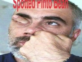 Avatar de spotted pinto bean