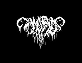 Avatar for Morð