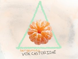 Avatar för Vox Castoridae