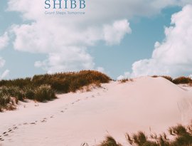 Shibb 的头像