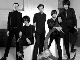 Awatar dla The Horrors