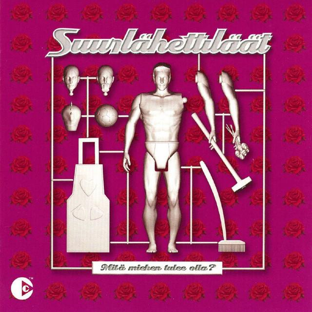 Vain hullut selviää cover