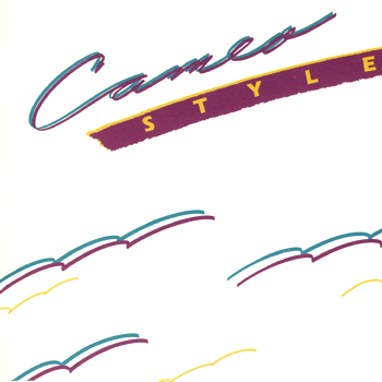 Style cover