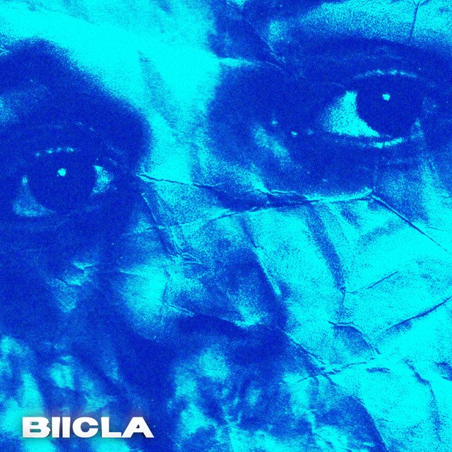 Image of Biicla