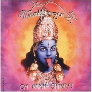 Om Namah Shivay! cover