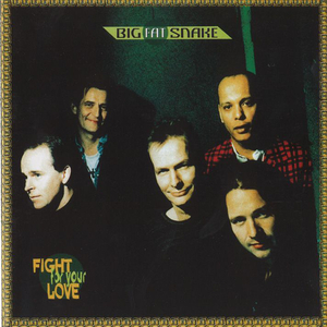 Fight for Your Love cover