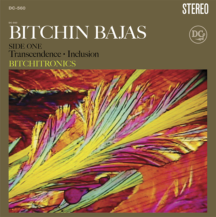 Bitchitronics cover
