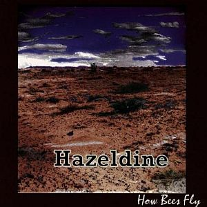 How Bees Fly cover