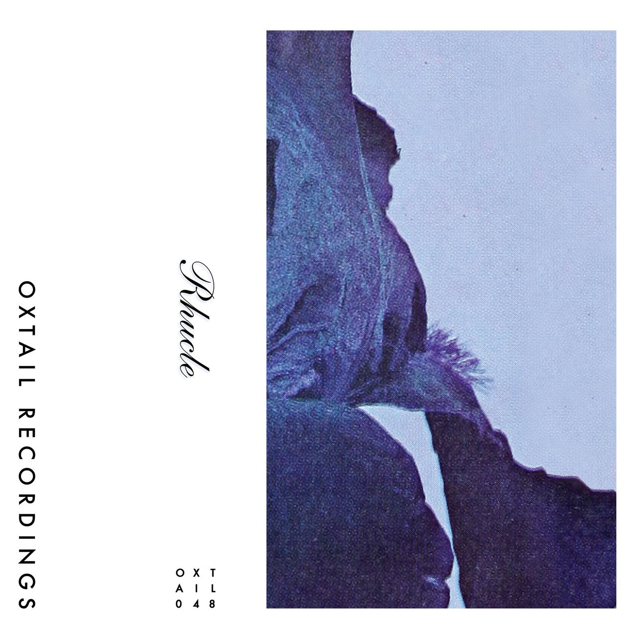 White Fragment - Rhucle
