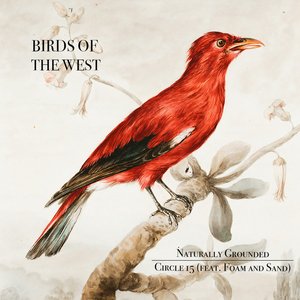 Naturally Grounded - Single