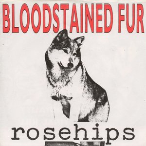 Bloodstained Fur