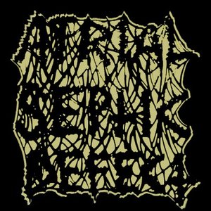 ATRIAL SEPTIC DEFECT 的头像