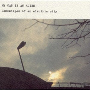 Landscapes Of An Electric City