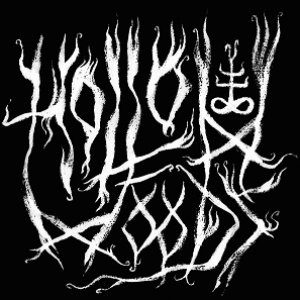 Hollow Woods 的头像