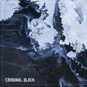 Cardinal Black