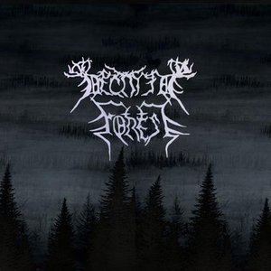 Decayed Forest 的头像