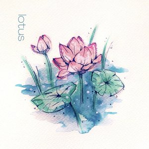 Lotus