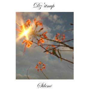 Silene
