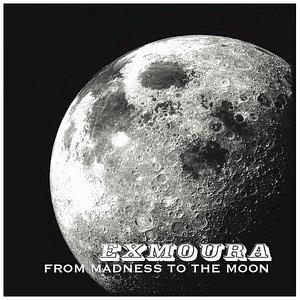From Madness To The Moon